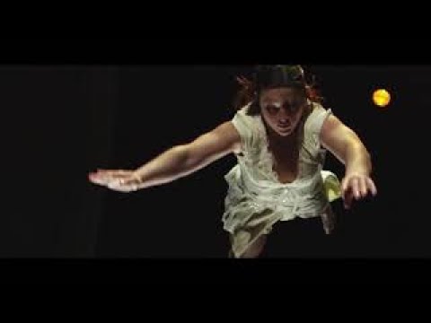 Schnellecke Spirit valores vídeo